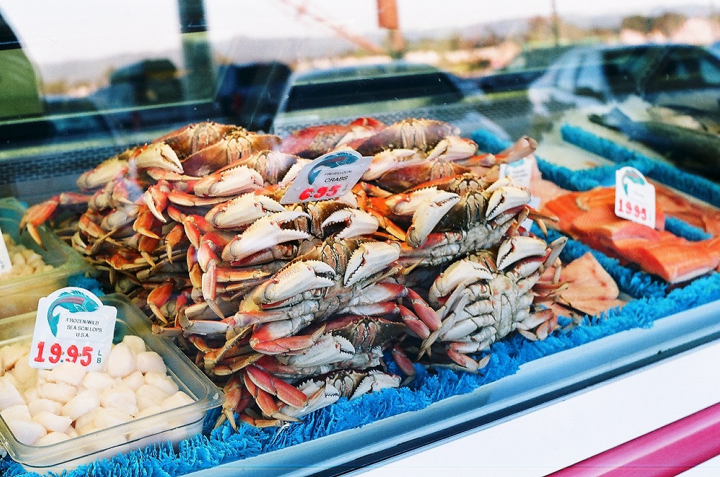 Shellfish at the market.