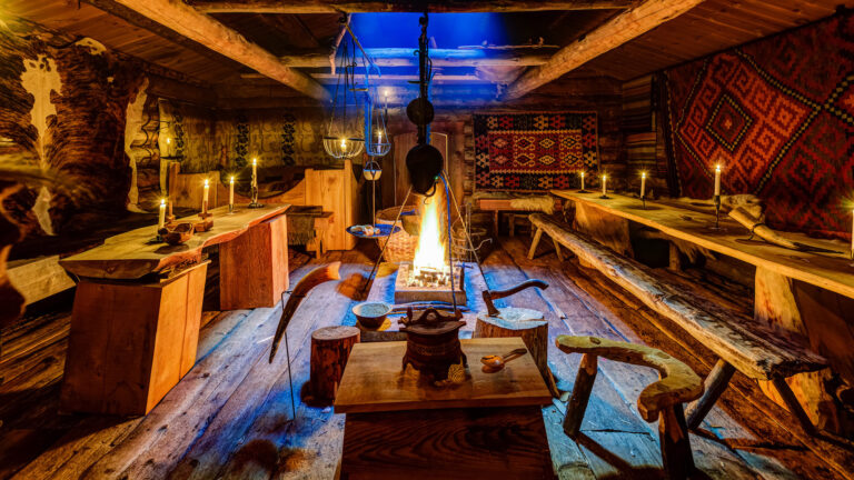 8 Reasons Why Vikings Were the Best Eaters